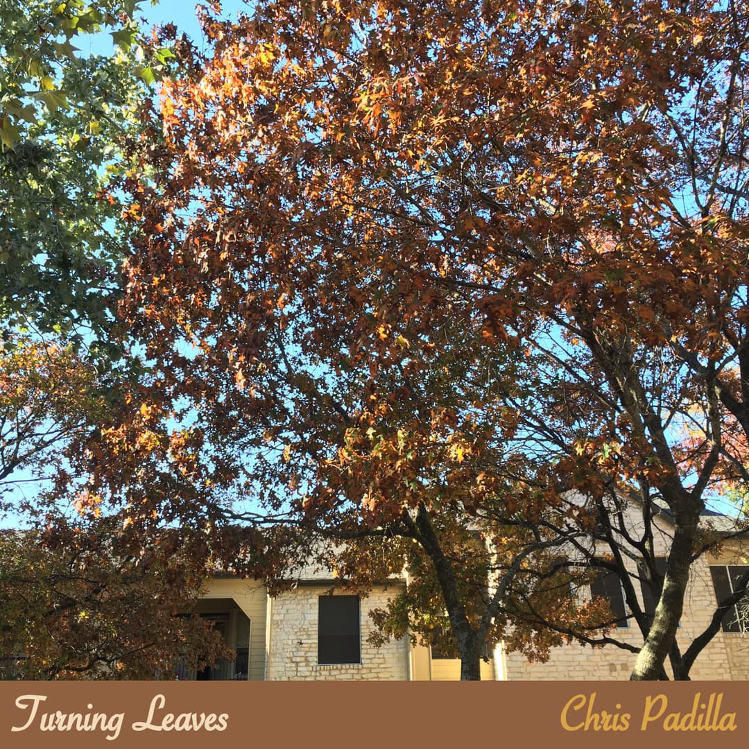 Cover art for Turning Leaves.