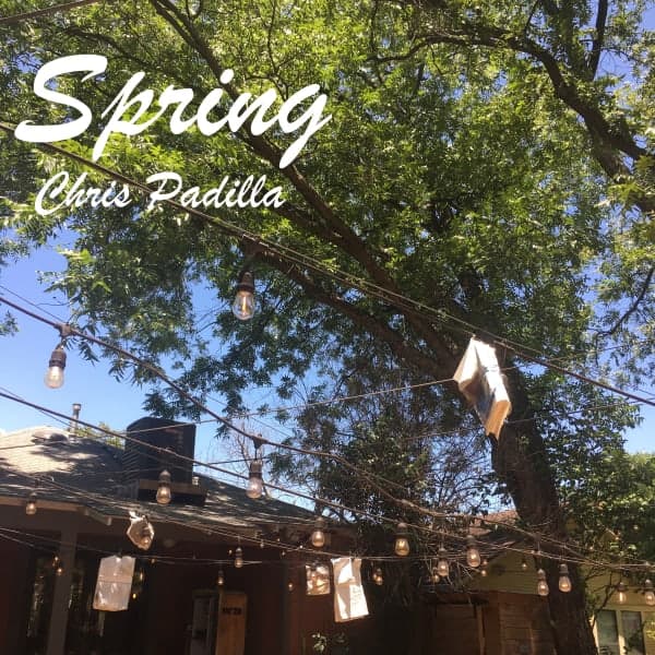 Cover art for Spring.