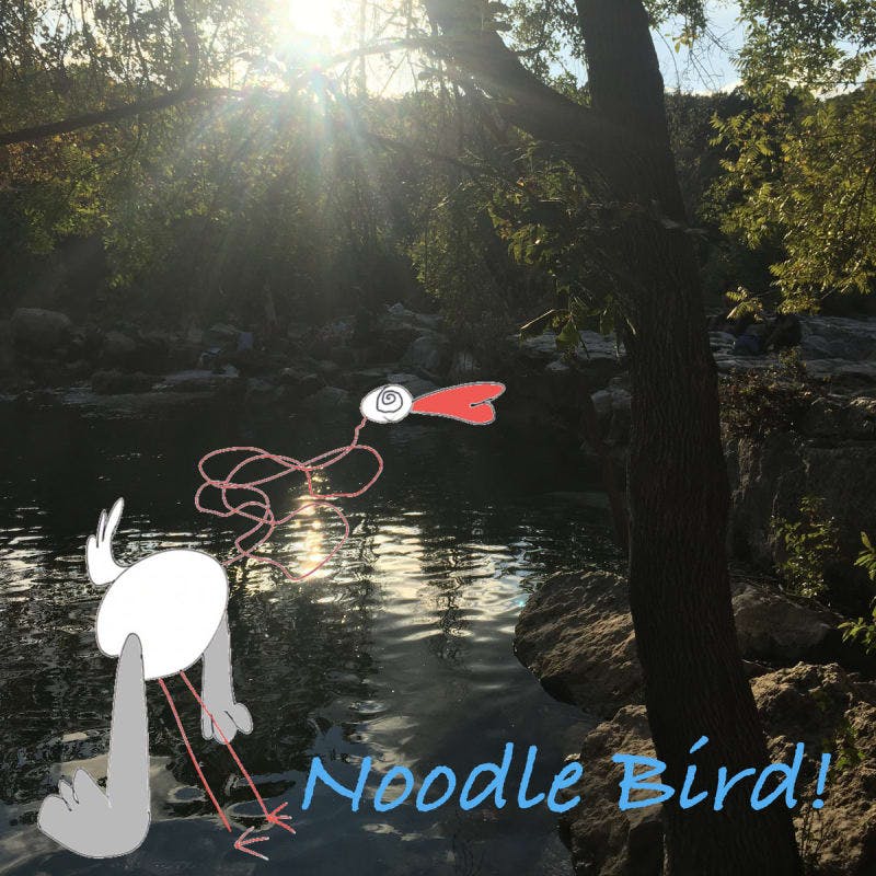 Cover art for Noodle Bird.